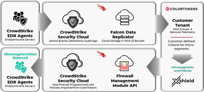 Microsegmentation Workflow 