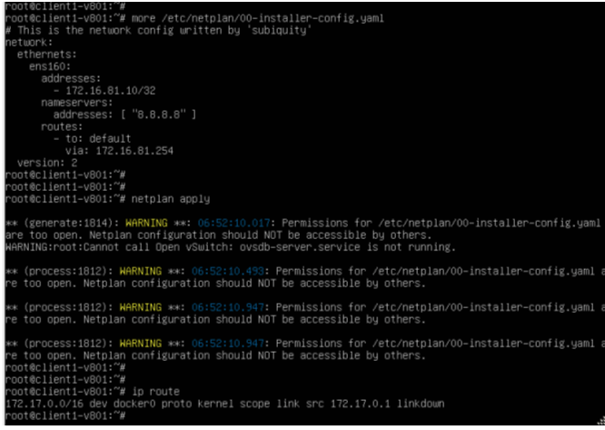 Netplan Configuration